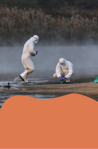 3-une cooperation.png